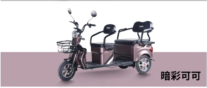 60V500W Passenger Electric Three Wheeler with Low Speed