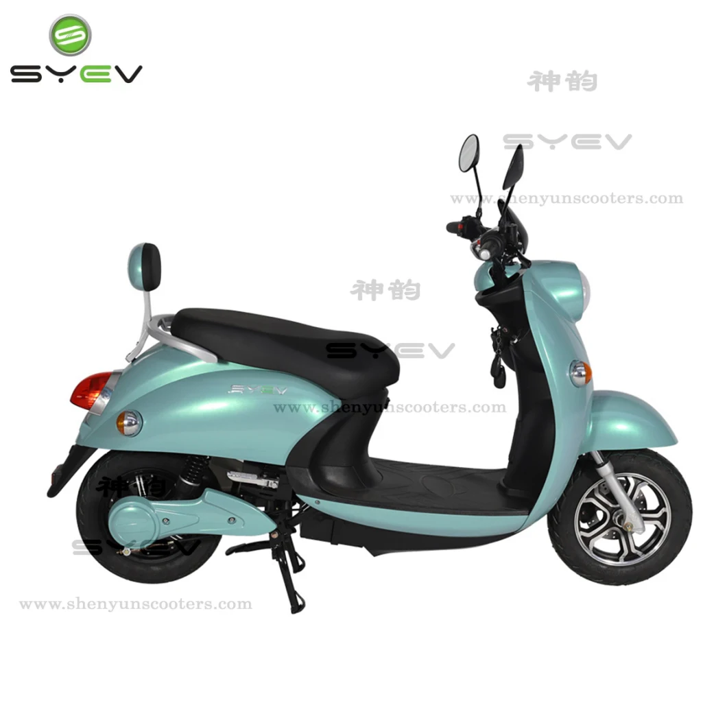 Syev Highway Smart Electric Scooter with Fat Tyre