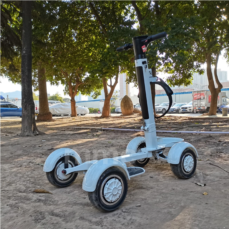 4 Wheel Electric Scooter Golf Cart Scooter Electric Golf Scooter Electric Skateboard