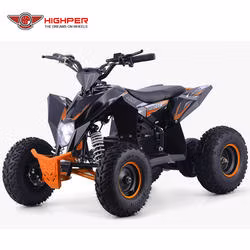 Mini ATV eléctrico de 4 ruedas para niños Quad Bike 1000W36V/1300W 48V