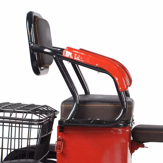 Triciclo eléctrico de tres ruedas con techo y protector de lluvia