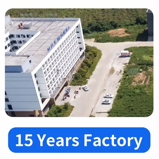 China 48V Adulto Nuevo E-Scooter, E Scooter, Scooter eléctrico con asiento