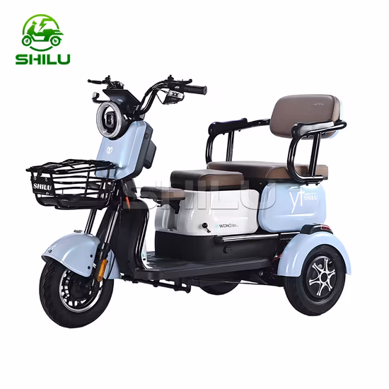 Triciclo eléctrico de tres ruedas Eelectric de ciudad de seguridad cómoda de 48V 500W