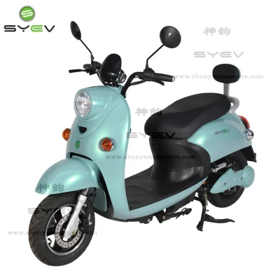 Syev Highway Smart Scooter eléctrico con neumático gordo